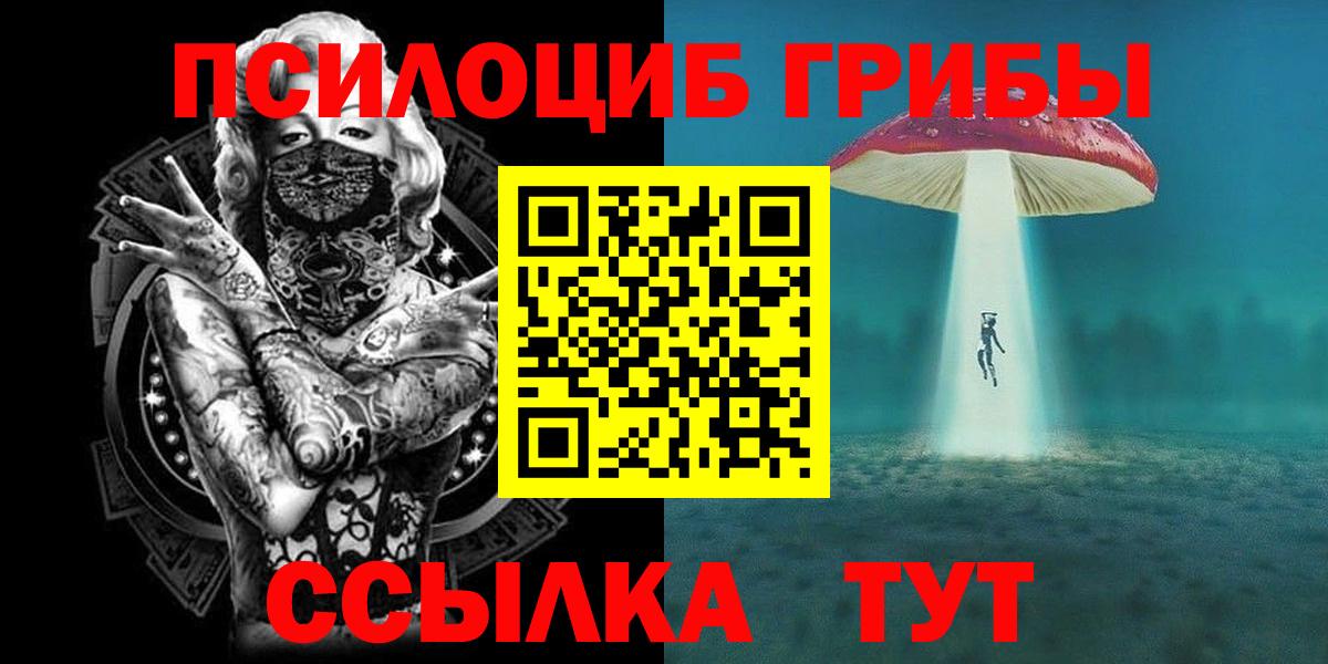 Псилоцибиновые грибы GOLDEN TEACHER  Вход с VPN  Ноябрьск 