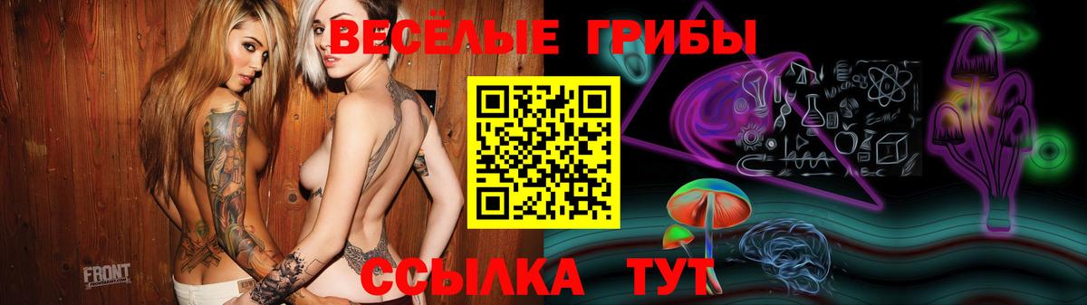 Псилоцибиновые грибы Psilocybe Ноябрьск